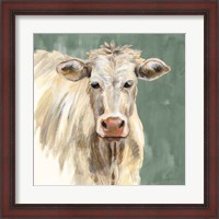 Framed White Cow on Sage