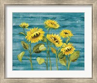Framed Cottage Sunflowers Teal