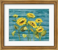 Framed Cottage Sunflowers Teal