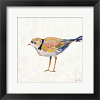 Framed Coastal Plover IV Linen