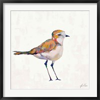 Framed Coastal Plover III Linen