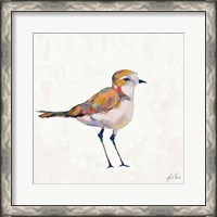 Framed Coastal Plover III Linen