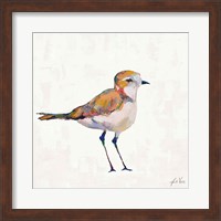 Framed Coastal Plover III Linen