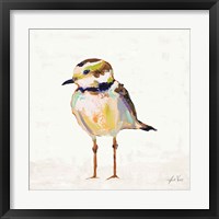 Framed 'Coastal Plover II Linen' border=