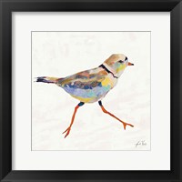 Framed Coastal Plover I Linen