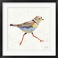 Framed Coastal Plover I Linen