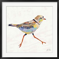 Framed Coastal Plover I Linen