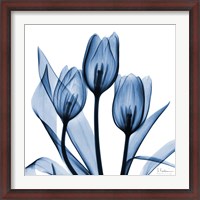 Framed Indigo Tulips