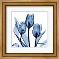 Framed Indigo Tulips