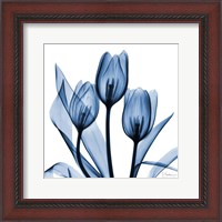 Framed Indigo Tulips