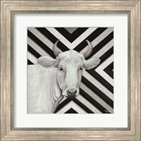 Framed January Cow I