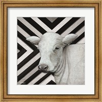 Framed January Cow II