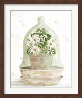 Framed Floral Cloche II