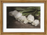 Framed Gathered Tulips