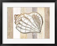 Framed Coastal Shell I