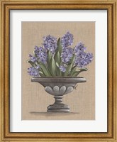 Framed Hyacinth Urn