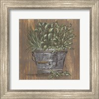 Framed Herb Trio in Pail