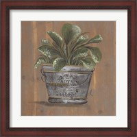 Framed Pretty Plant in Pail