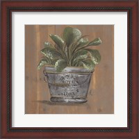 Framed Pretty Plant in Pail