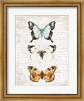 Framed Butterfly Trio