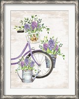 Framed Hyacinth Harvest