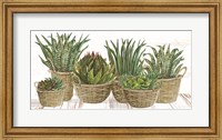 Framed Succulent Baskets