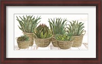 Framed Succulent Baskets
