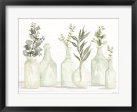 Bottles and Greenery I Framed Print