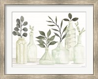 Framed Bottles and Greenery II