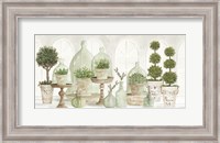 Framed Nice and Neutral Plant Collection
