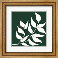 Framed Modern Graphic Leaf Stem