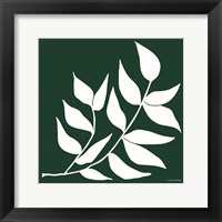 Framed Modern Graphic Leaf Stem