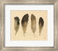 Framed Four Feathers