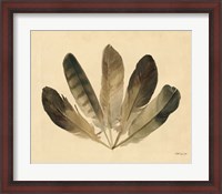 Framed Five Feathers