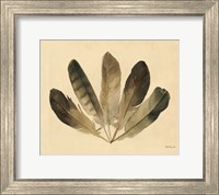 Framed Five Feathers