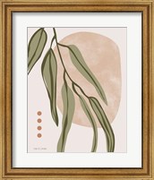 Framed Restore Eucalyptus I