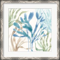 Framed 'Soft Shores IX' border=