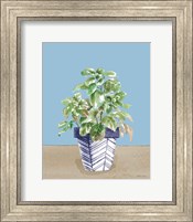 Framed Herb Garden II White Navy