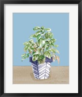 Herb Garden II White Navy Framed Print