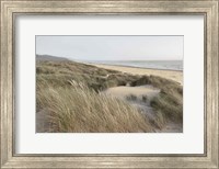 Framed Oregon Dunes