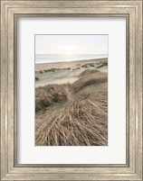 Framed Beach Grasses