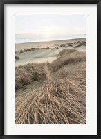Framed Beach Grasses