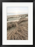 Framed Beach Grasses