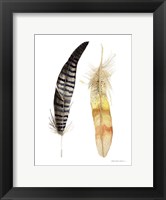 Framed Natural Feathers III