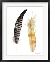 Framed Natural Feathers III