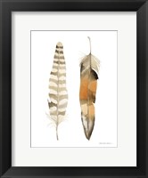 Framed Natural Feathers II