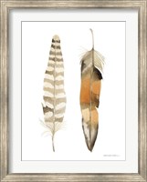Framed Natural Feathers II