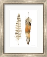 Framed Natural Feathers II