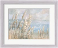 Framed Seaside Pampas Grass