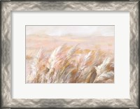 Framed Prairie Grasses